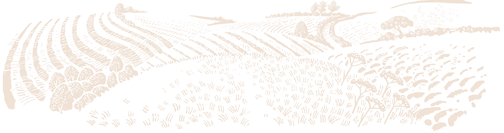 Dark gold pattern of field in and old world style